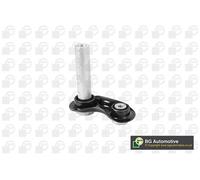 Wheel Suspension Control/Trailing Arm Fits BMW 5 Series 6 Series BGA TRC0947