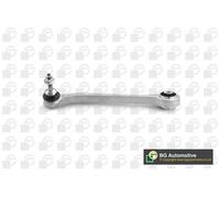 Wheel Suspension Control/Trailing Arm Fits BMW X5 X6 BGA TRC0811