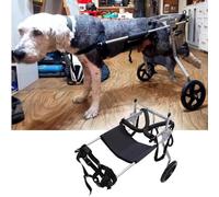 Wheelchair for Dogs with Poor Mobility - Support for M/L/XL Bs - Ideal for Retrievers & German Shepherds with Arthritis - Enhances Quality of Life & Movement