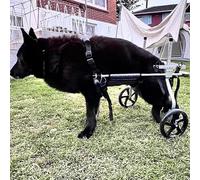 Wheelchair for Large DogsAllTerrain TwoWheel Support for Rear Leg ParalysisDurable Mobility Aid for German Shepherds and Other Breeds