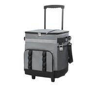 Wheeled Large Laptop Isolated