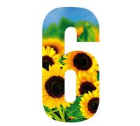 Wheelie Bin Number Sunflower 6