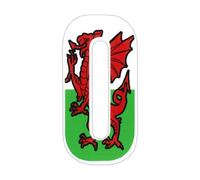 Wheelie Bin numbers Welsh Dragon 0