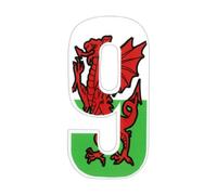 Wheelie Bin numbers Welsh Dragon 9