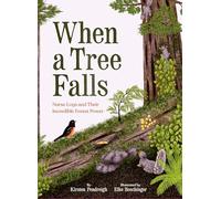 When a Tree Falls: Nurse Logs and Their Incredible Forest Power