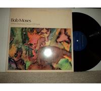 When Elephants Dream Of Music [Vinyl LP]