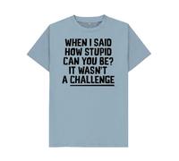 When I Said How Stupid Can You Be It Wasn't A Challenge T-Shirt