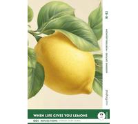 When Life Gives You Lemons - Reflections: 10 Everyday Short Stories vol. 001 - B1-B2 (+ Audio-Online): Englisch lernen mit Herz - berührende ... Short Stories B1-B2 + Worterklärungen)