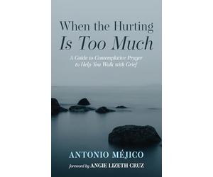 When the Hurting Is Too Much: A Guide to Contemplative Prayer to Help You Walk with Grief