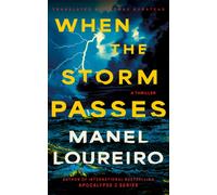 When The Storm Passes : A Thriller