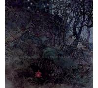 White Birches When the Street Calls (Vinyl)