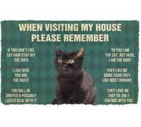 When Visiting My House Please Remember Black Cat Funny Coir Doormat (16x24in (40x60cm))