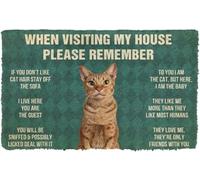 When Visiting My House Please Remember Cat Coir Doormat, Funny Porch Rug (24x36in (60x90cm))
