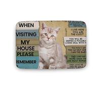 When Visiting My House Please Remember Cat Door Mat Indoor Cat Mats Non Slip Entryway Rug with Non-Slip Backing Inside Entrance Doormat Gift for Women Men 16x24 Inch