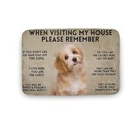 When Visiting My House Please Remember Dog Indoor Door Mat Front Door Mat Non-Slip Rubber Backing Entrance Rug 16x24 Inch