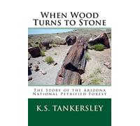 When Wood Turns to Stone: The Story of the Arizona National Petrified Forest: 4 (Exploring Nature Series)