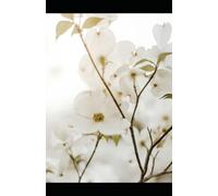 When Words Fall Silent: Grief & Celebration (Shadow Work: Adventures & Perspective)