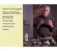 Where and How to Look for Fossils