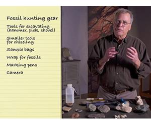 Where and How to Look for Fossils