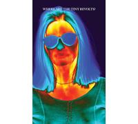 Where Are the Tiny Revolts? (Sternberg Press) (A Series of Open Questions)