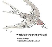 Where Do The Swallows Go?
