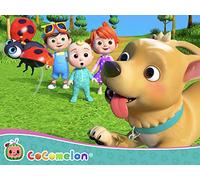 Where Has My Little Dog Gone?