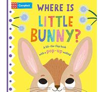 Where is Little Bunny?: a lift-the-flap book: the perfect gift to celebrate Easter with your toddler!