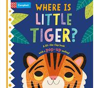 Where is Little Tiger?: The lift-the-flap book with a pop-up ending!