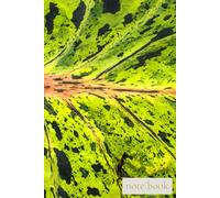 Where Life Begins Again: A Radiant Notebook for New Energy, Fresh Starts, and Inner Renewal