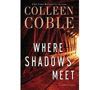 Where Shadows Meet: A Romantic Suspense Novel