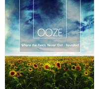 Where The Fields Never End : Revisited