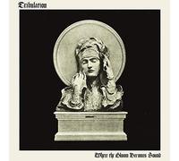 Where The Gloom Becomes Sound