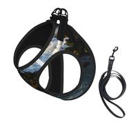 Where The Ocean Meets The Rocks No Pull Dog Harness and Leash Set, Cute Reflective Adjustable Vest for Small Dogs,Breathable Mesh Puppy Harness for Walking Hiking,Large