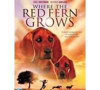 Where the Red Fern Grows [DVD] [Region 1] [NTSC]