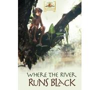 Where The River Runs Black DVD - Charles Durning, Alessandro Rabelo, Chris Cain