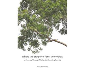 Where the Staghorn Ferns Once Grew: A Journey Through Thailand’s Changing Forests (Staghorn Fern (Platycerium) Complete Guides)