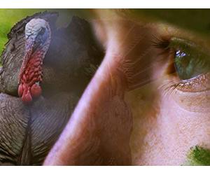 Where Traditions Begin- Through The Eyes Of A Child