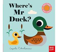 Where's Mr Duck?: (Felt Flaps)