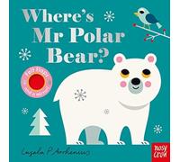 Where's Mr Polar Bear?: (Felt Flaps)