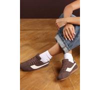 Where's That From Women's 'Ulani' Low-Top Lace up trainer with Contrast Side Stripe in Brown | Size: 6 Where's That From Brown 6