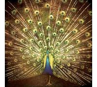 Which Side Are You on by Ani Difranco (2012-01-17)