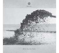 While You Are There [VINYL]