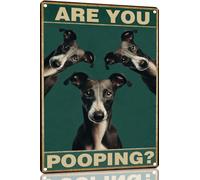 Whippet Dog 8x12 Inch Are You Pooping Sign Bathroom Decor- Dog Metal Poster Dog Lover Gift Art Funny Dogs Wall Art Decoration Retro Metal Tin Sign