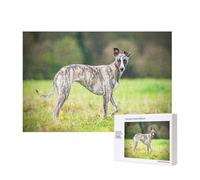 Whippet Dogs Lawn Dogs Gray Dogs Pets,300 Pieces Wooden Jigsaw Family Game Jigsaw Puzzles for Adults Teens Home Decor