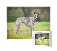 Whippet Dogs Lawn Dogs Gray Dogs Pets,500 Pieces Wooden Jigsaw Family Game Jigsaw Puzzles for Adults Teens Home Decor