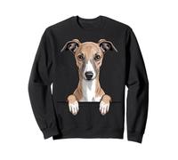 Whippet Funny Peeking Pocket Puppy Dog Lover Sweatshirt