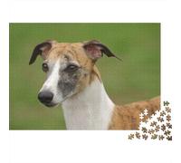 Whippet Greyhound 1000-Piece Adult Jigsaw Puzzle, 70x50cm/1000pcs, for Progress Whenever Time Allows; Low-dust Pieces for A Tidier Table