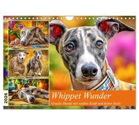Whippet wonders. Graceful dogs with gentle strength and a fine soul UK-Version (Wall Calendar 2026 DIN A4 Landscape), CALVENDO 12 Month Wall Calendar
