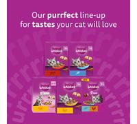 Whiskas Junior Chicken 7 kg Bag, Kitten Cat Dry Food - Pack May Vary