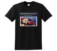 Whiskeytown Mens T Shirt Strangers Almanac Vinyl Cd Cover Size L Black
